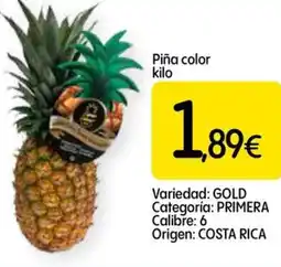 Dialprix Piña color oferta