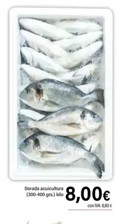 Cash Ifa Dorada acuicultura oferta