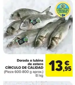Carrefour Market Dorada o lubina de estero círculo de calidad oferta
