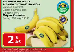 Alcampo Plátano de Canarias I.G.P. oferta