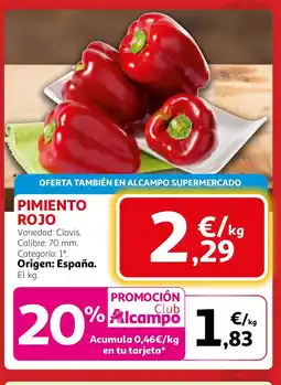 Alcampo Pimiento rojo oferta