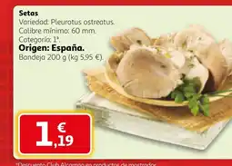 Alcampo Setas oferta