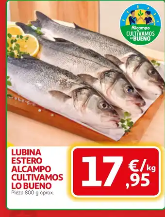 Lubina estero alcampo cultivamos lo bueno