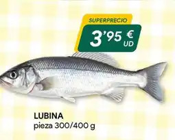 Masymas Lubina oferta