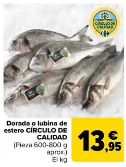 Carrefour CÍRCULO DE CALIDAD Dorada o lubina de estero oferta