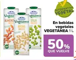 Carrefour VEGETÁNEA En bebidas vegetales oferta