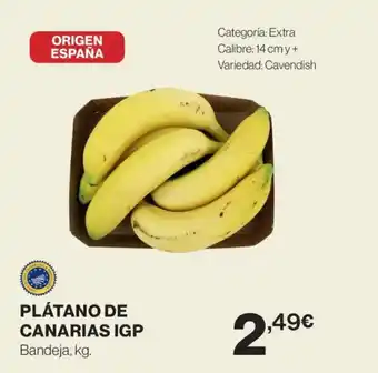 Plátano de canarias igp