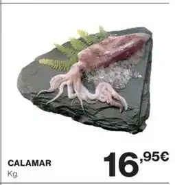 Supercor Calamar oferta
