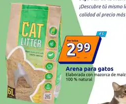 Action Arena para gatos oferta