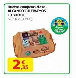 Alcampo Huevos camperos clase L oferta