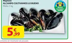 Alcampo Mejillón oferta