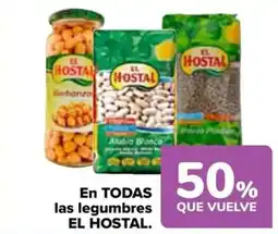 Carrefour EL HOSTAL En todas las legumbres oferta