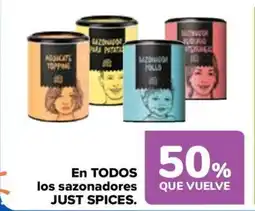 Carrefour JUST SPICES En todos los sazonadores oferta