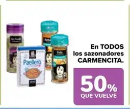 Carrefour CARMENCITA En todos los sazonadores oferta