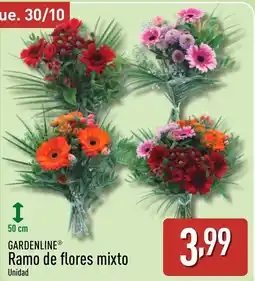ALDI GARDENLINE Ramo de flores mixto oferta