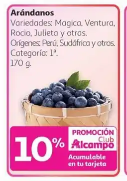 Alcampo Arándanos oferta