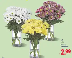 Lidl Ramo de crisantemos oferta