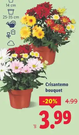 Lidl Crisantemo bouquet oferta