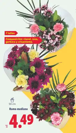 Lidl Ramo mediano oferta
