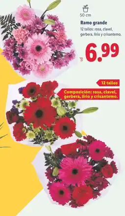 Lidl Ramo grande oferta