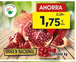FROIZ Granada oferta
