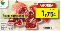 FROIZ Granada oferta