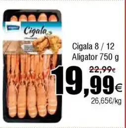 FROIZ ALIGATOR Cigala 8/12 oferta