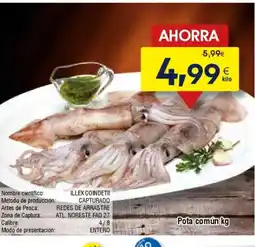 FROIZ Pota común oferta