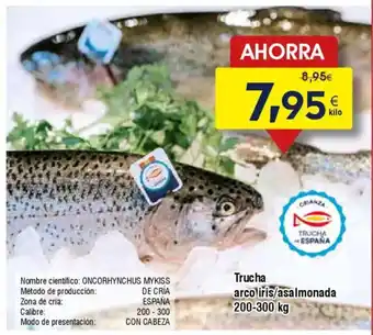 FROIZ Trucha arco iris/asalmonada oferta