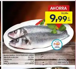 FROIZ Lubina oferta