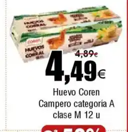 FROIZ Huevo Coren Campero categoría A clase M 12 u oferta