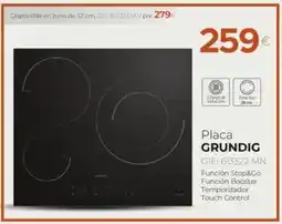 Tien 21 GRUNDIG Placa GIEI 613322 MN oferta