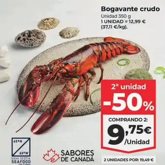 Bogavante crudo