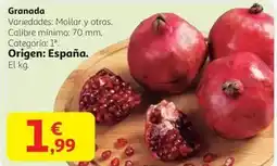 Alcampo Origen - granada oferta