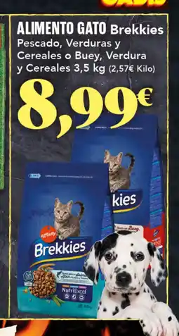 Gadis BREKKIES Alimento gato oferta