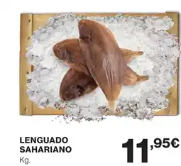 Supercor Lenguado sahariano oferta