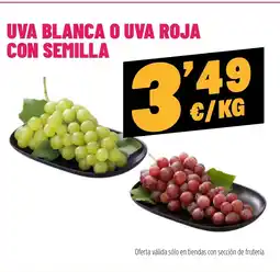 AhorraMas Uva blanca o uva roja con semilla oferta