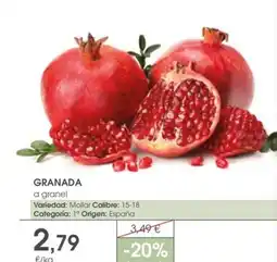 Supermercados Plaza Granada oferta