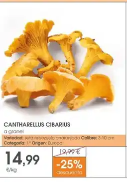 Supermercados Plaza Cantharellus cibarius oferta