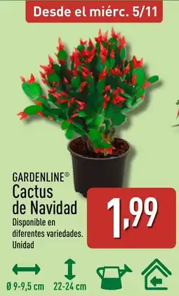 ALDI GARDENLINE Cactus de Navidad oferta