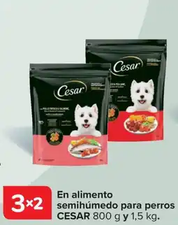 Carrefour CESAR En alimento semihúmedo para perros oferta