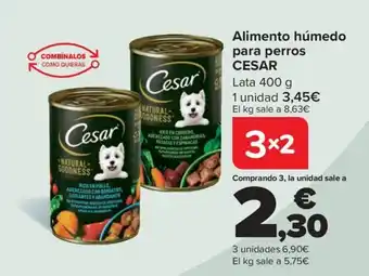 Carrefour CESAR Alimento húmedo para perros oferta