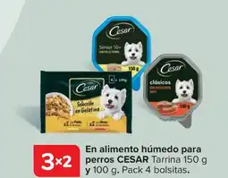 Carrefour CESAR En alimento húmedo para perros Tarrina oferta