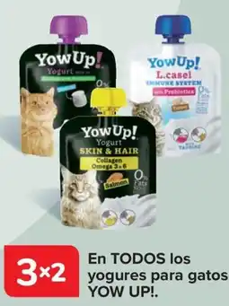 Carrefour YOW UP! En todos los yogures para gatos oferta