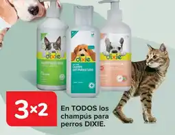 Carrefour DIXE En todos los champús para perros oferta