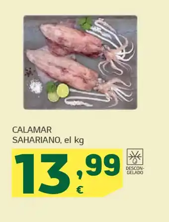 HiperDino Calamar sahariano oferta