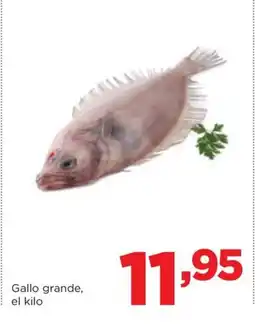 Alimerka Gallo grande oferta