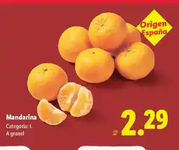 Lidl Mandarina oferta