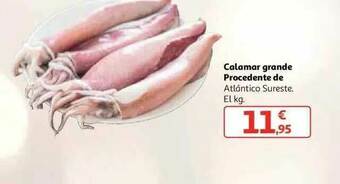 Alcampo Calamar Grande oferta