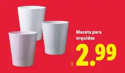 Lidl Maceta para orquídea oferta
